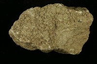 北投石藏品圖，第6張